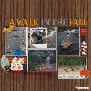 WalkInTheFall102020IC