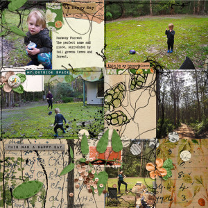 Harmony Forest