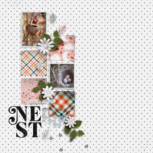 Nest