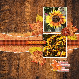 October - Splendor Of Autumn