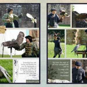 Falconry Day (2 pager)
