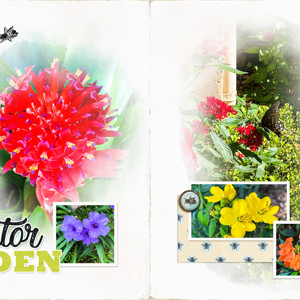 Bok Tower Gardens Pollinator Garden