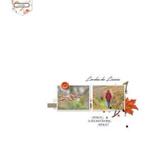 Landes Liscuis