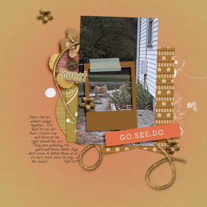Go-see-do