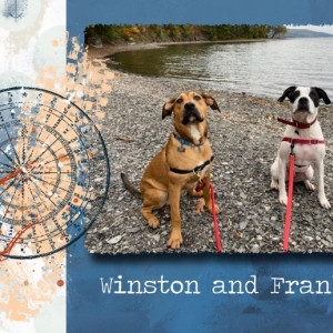 Placemat Winston And Franklin Lynn Grieveson Wind In My Sails Kit