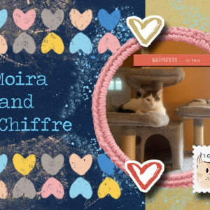 Moira And Le Chiffre Placemat