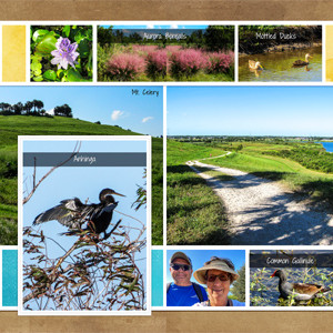 Celery Fields Hike
