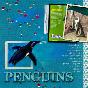 Penguinspsd