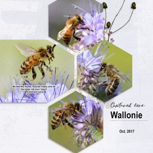 Bee