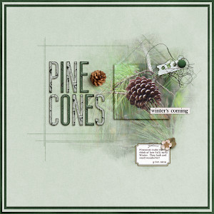 Pinecones