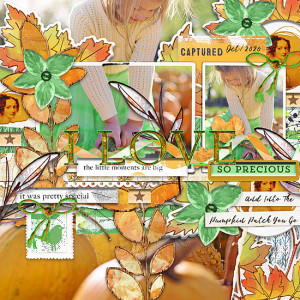 Lynn Grieveson Design-Oct-Nov-2020-Recipe Challenge-It's Pumpkin! Time Again