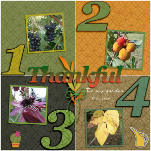 Thankful to my Garden