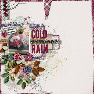 Cold November Rain