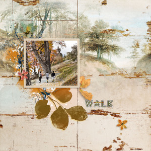 Walk