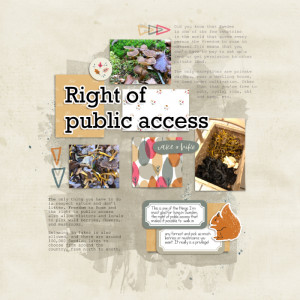 Right of public access