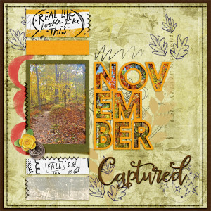 Lbw_November2020_tp