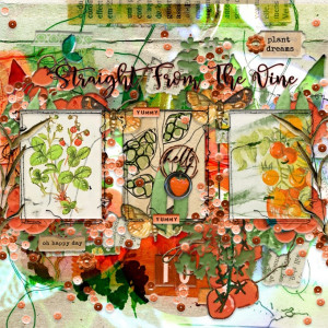Rachel Jefferies-Mixed Media Challenge-November 2020-3 Pocket Cards-Vine Love