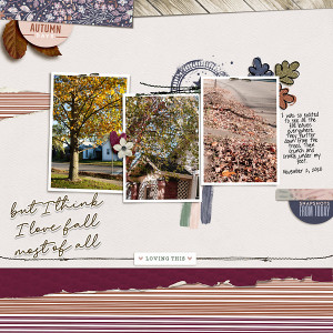 2020 Nov Fall Leaves