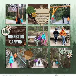 johnston canyon