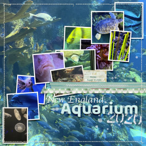 NE Aquarium