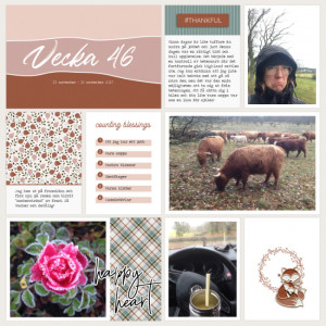 Week 46 2017