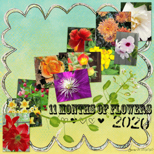 Template_11-months-of-flowers
