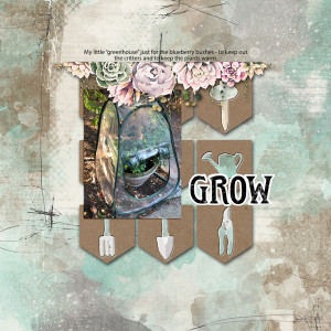 SwL_grow