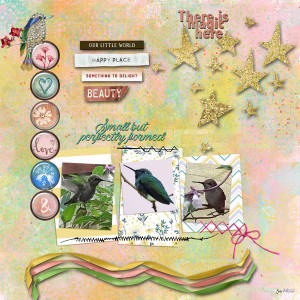 36in36_hummingbird