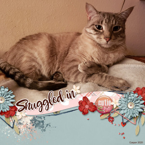 Snuggled-In