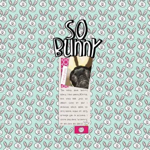 so bunny