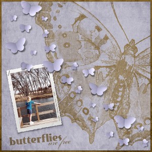 Butterflies Are Free