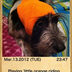 Example photo of the photo app Shot MeMo for iPhone and iPod.