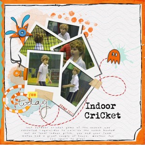 Indoor Cricket