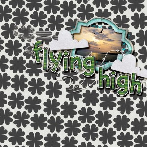 Flying high