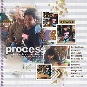 62-process-meat-copy