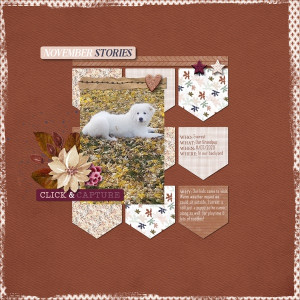 November Stories - Everest