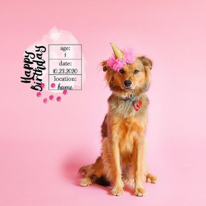2020.10.23-HoneyB-is-1b