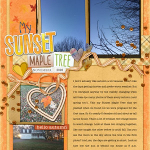 11speed-autumnsunsetmapletree