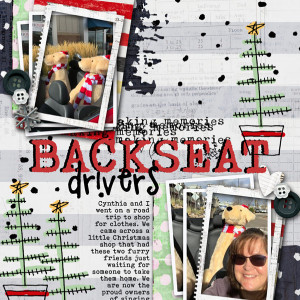 Backseat Drivers