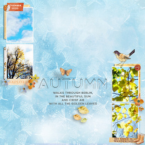 Autumn-walks