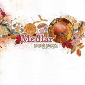 Medlar Season