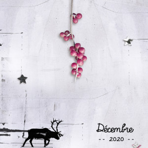 December 2020
