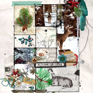 Rachel-Jefferies_2020-11_November_NEW_1113_DYD_All-the-Little-Joys_web
