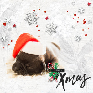 Merry Xmas