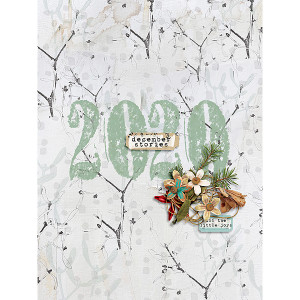 DYD 2020 Cover