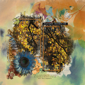 Autumn Sunshine