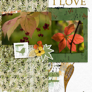 Fall