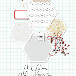 Sc_decemberstories_6x8_tp25-copy
