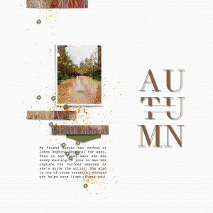 20-11-Random-Autumn
