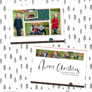 2020 Christmas Card